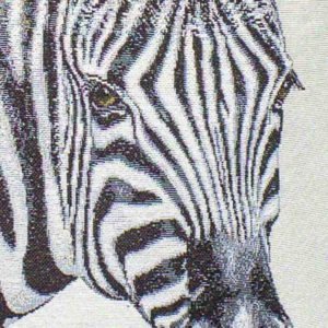 zebra-padi-munane-roosa-roheline-hobune