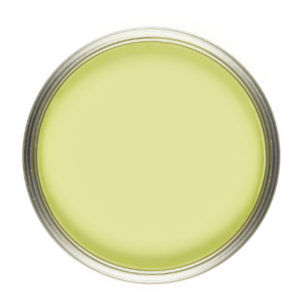 citron-vintro-kriidivarv-colorlife-kangru10