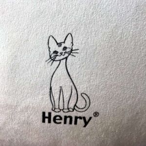 henrycats-dekoratiivpadjad
