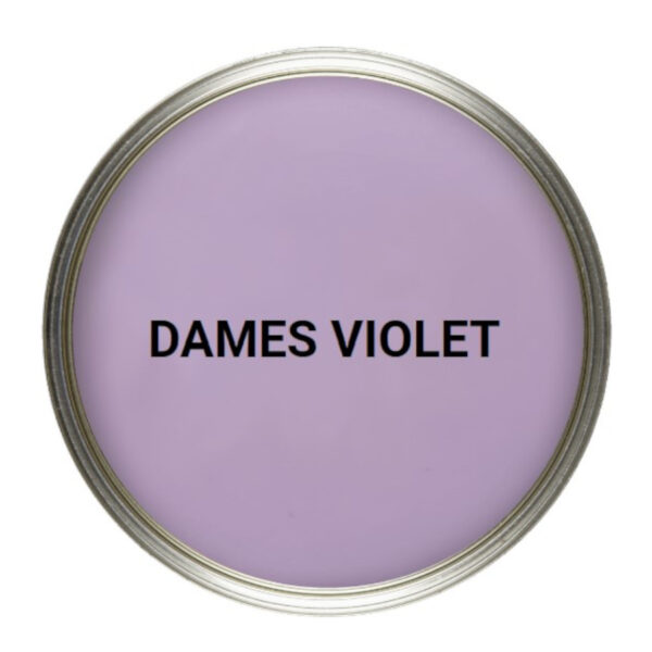 dames-violet-vintro